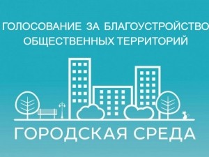 Предварительное голосование по выбору общественной территории для благоустройства в первую очередь в 2021 году