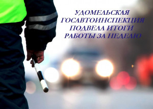 Госавтоинспекция подвела итоги работы с 1 по 8 января 2024 года