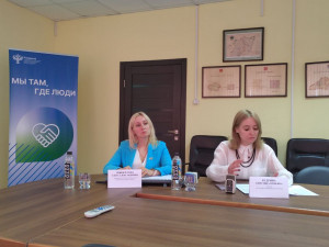 О газификации садоводческих товариществ Тверской области рассказали на брифинге в региональном Росреестре