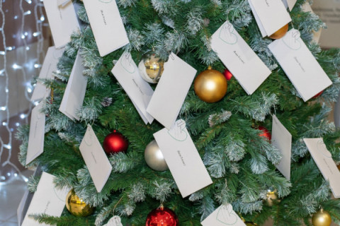 В Удомле стартовала благотворительная акция &laquo;Елка желаний&raquo;