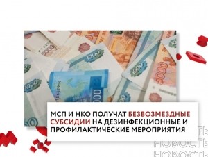 Правительство утвердило правила выдачи безвозмездных субсидий МСП и НКО на профилактику COVID-19