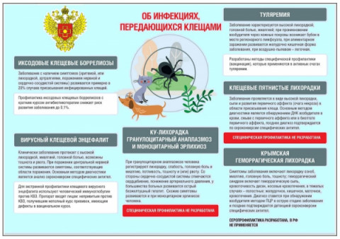 Памятка по профилактике инфекций передающихся клещами