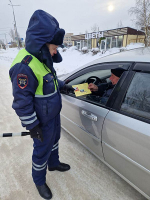 Сотрудники Госавтоинспекции провели профилактический рейд &laquo;Детское кресло&raquo;
