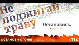 На территории Тверской области зафиксированы первые в 2021 году ландшафтные пожары