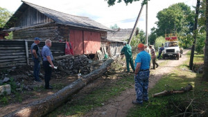 Организации Удомельского ГО оказали помощь в вырубке аварийно-опасных деревьев