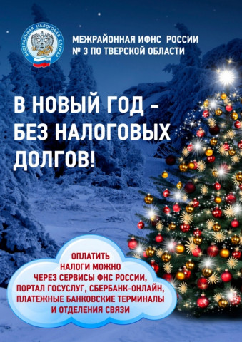 «В Новый год – без налоговых долгов!»