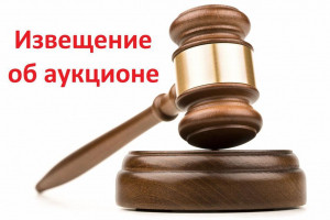 Администрация Удомельского городского округа проводит аукцион по размещению нестационарных торговых объектов