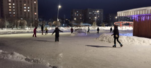 С 13 января в парке Венецианова начал работу новый бесплатный городской каток