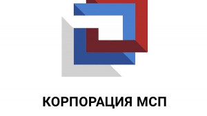 Имущественная поддержка малого и среднего предпринимательства, самозанятых граждан