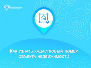 Как узнать кадастровый номер объекта недвижимости