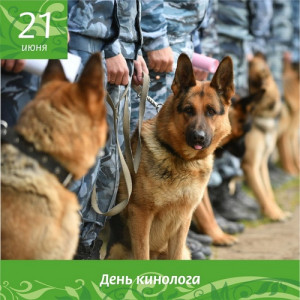 День кинологических подразделений МВД России