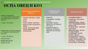 Профилактика оспы овец и коз